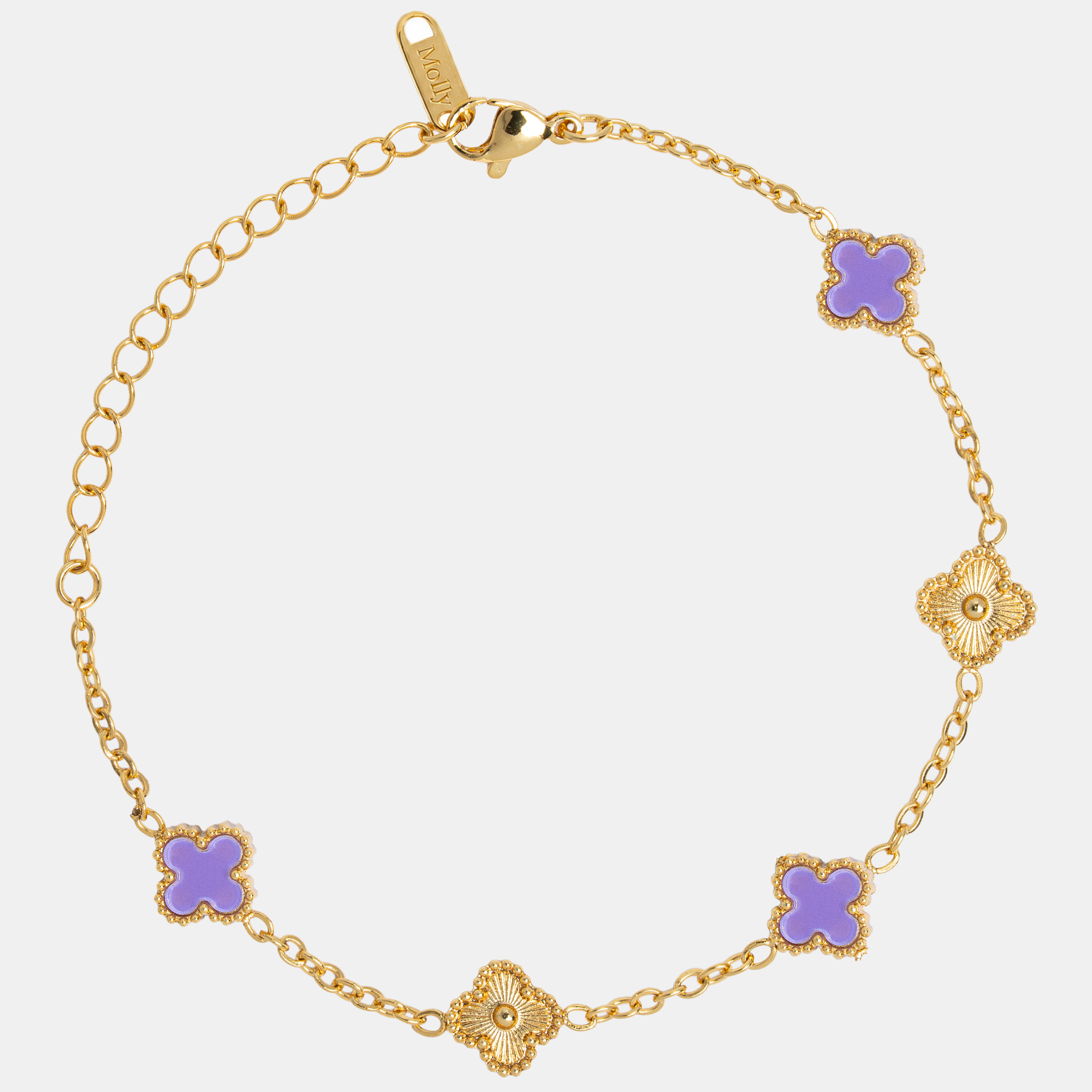 Molly Color Blossom-Iris